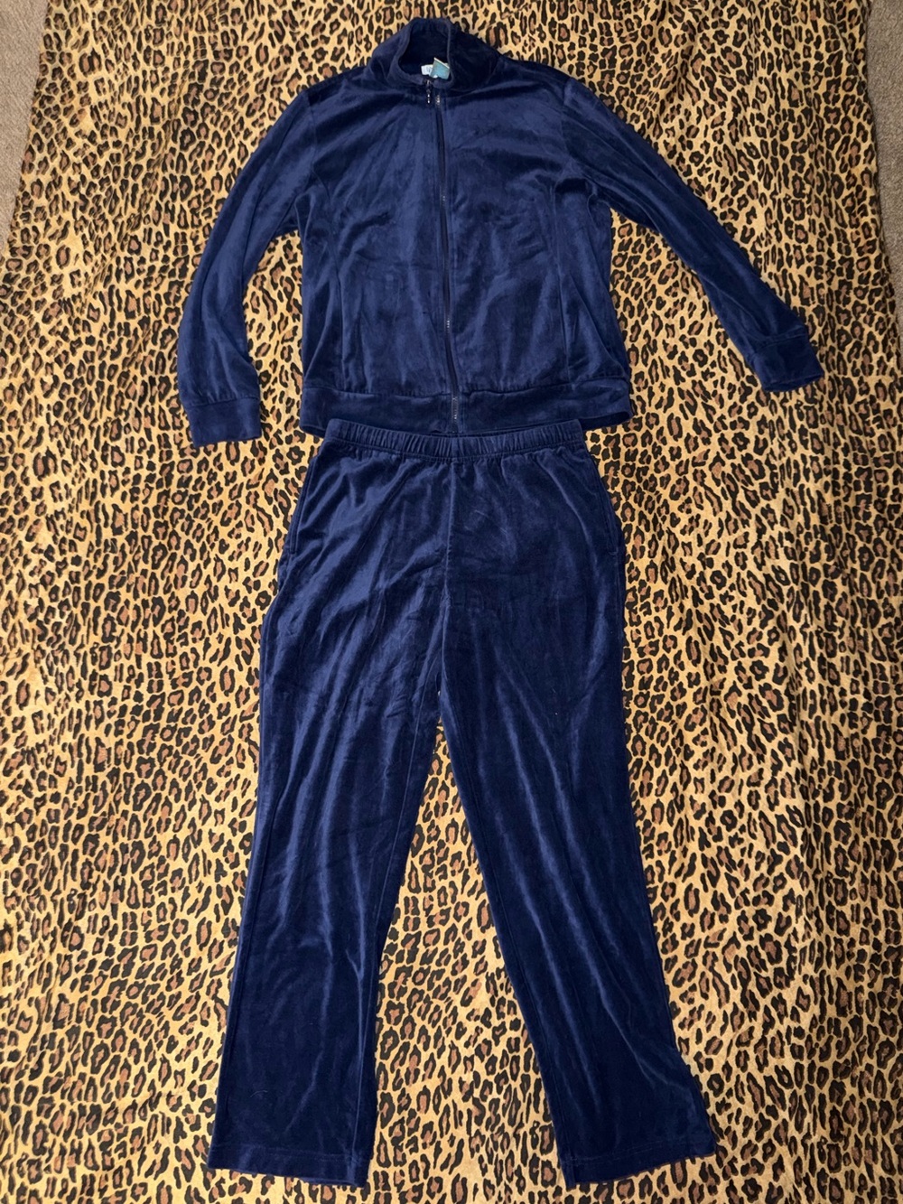 blue velvet track suit